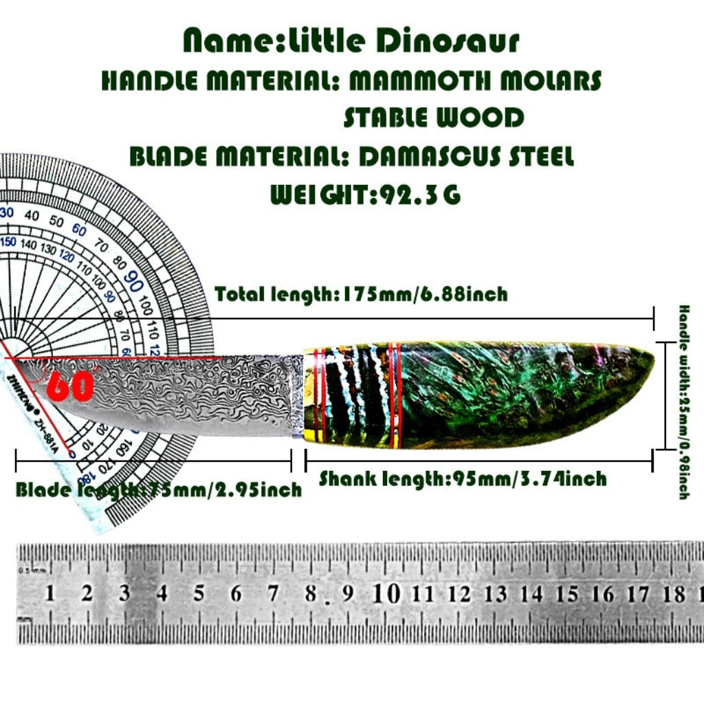 Damascus Steel Fixed Blade Knife - DMS17 - A reliable and versatile product for various needs