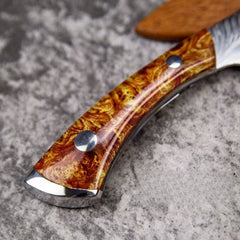 Damascus Steel Fixed Blade Knife - DMS18 - A reliable and versatile product for various needs