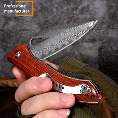 VG10 Damascus Folding Knife - DMF22 - A reliable and versatile product for various needs